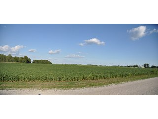 Property photo 5 - 204.5 +/- Acres Offered in 3 Tracts - Farmland Auction